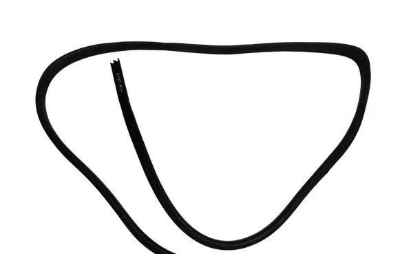 Chrysler Pacifica Front door rubber seal