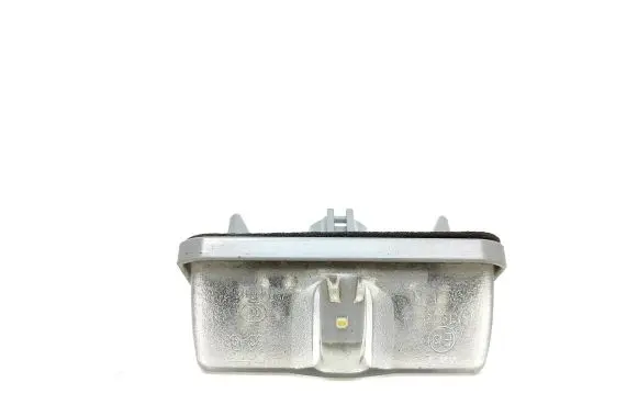 Toyota RAV 4 (XA50) Number plate light 4045053 33193 A5674