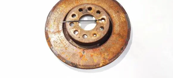 Volkswagen PASSAT B6 Front brake disc ventiliuojamas