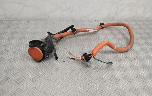 Nissan Leaf II (ZE1) Electric car charge socket 296B15SH0A