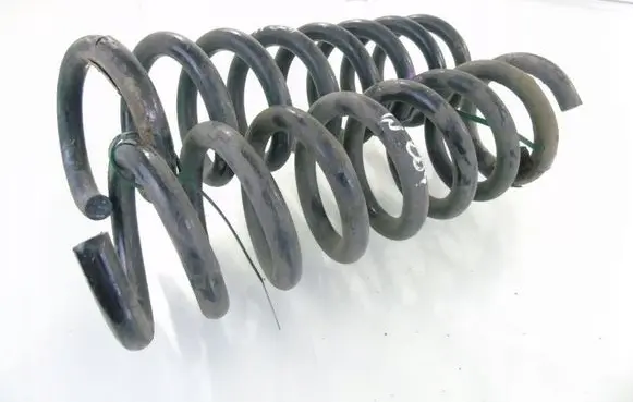 Rear coil spring