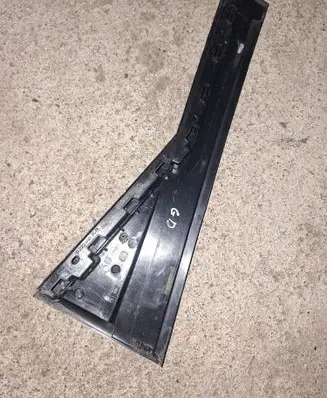 Renault Scenic III - Grand scenic III Rear door glass trim molding 822340025R