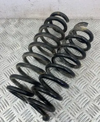 Rear coil spring
