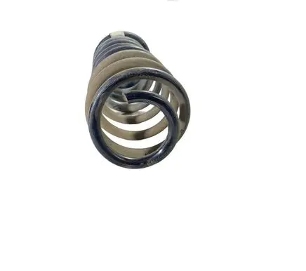 Ford Mustang V Rear coil spring BR335560AB