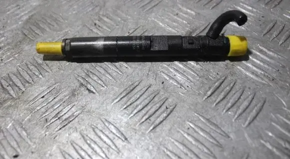 Renault Thalia I Fuel injector EJBR021012