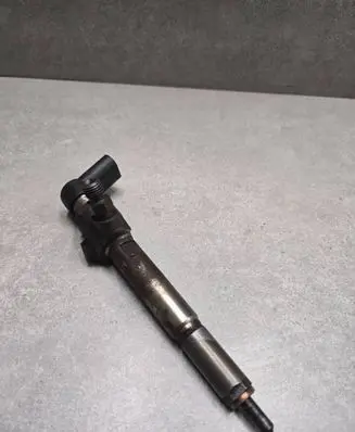Nissan Qashqai Fuel injector 166009445R H8200294788