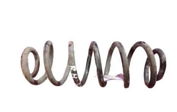 Rear coil spring