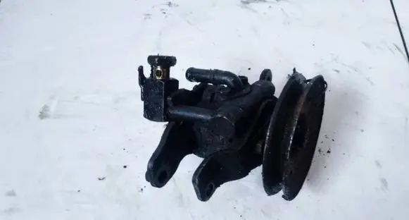 Nissan Terrano Power steering pump 