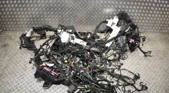 Porsche Cayenne (9Y0 9Y3) Other wiring loom INSTALACJA9Y3.0B55