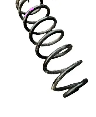 Renault Scenic III - Grand scenic III Rear coil spring