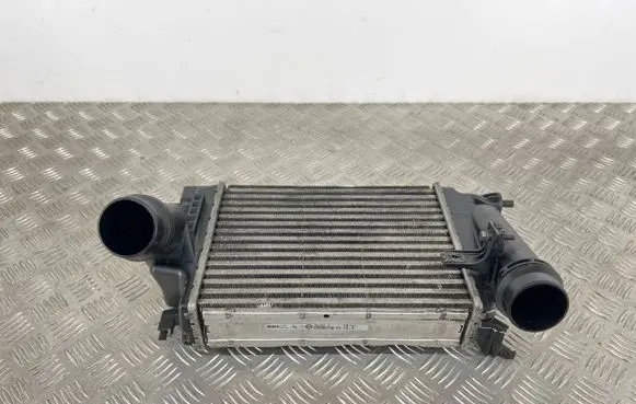 Nissan Qashqai Intercooler radiator 144614EB1B