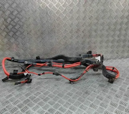BMW X3 F25 Other wiring loom 9243645 9249063