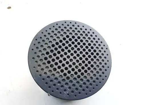 Front door speaker