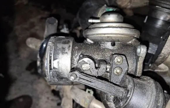 EGR valve