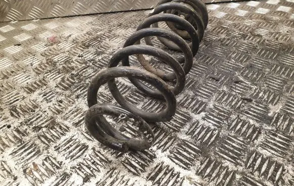 Volkswagen PASSAT B6 Rear coil spring