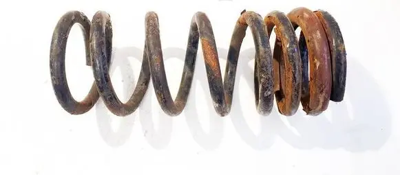 Rear coil spring
