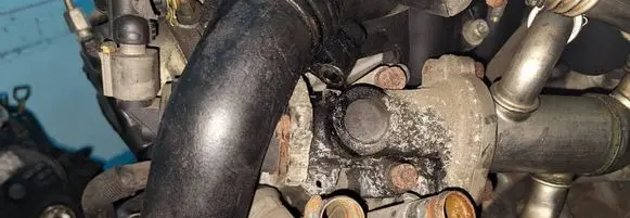 EGR valve
