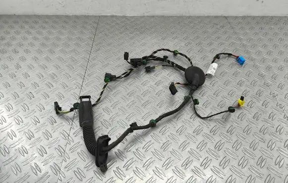 Front door wiring loom