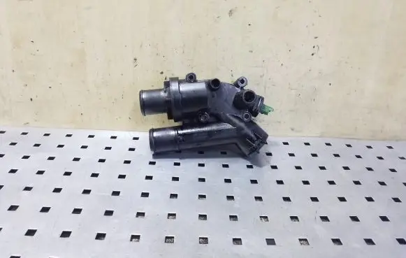 Thermostat/thermostat housing