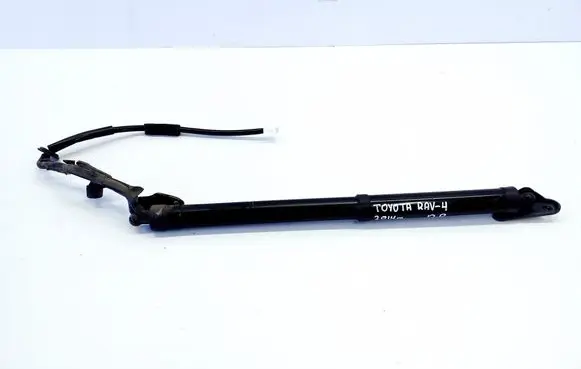 Tailgate/trunk strut/damper