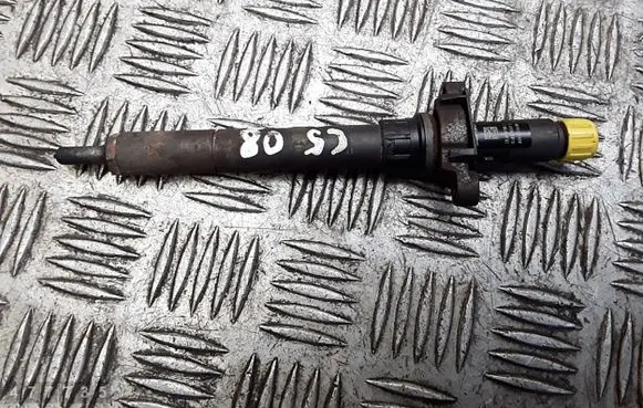 Citroen C5 Fuel injector