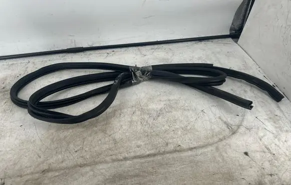 Nissan Qashqai Rubber seal front door (on door)