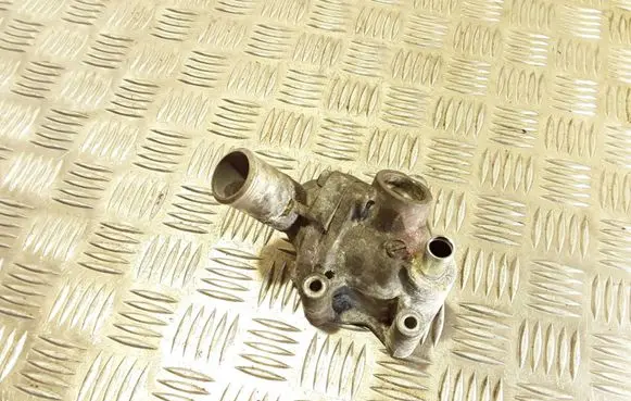 Thermostat/thermostat housing
