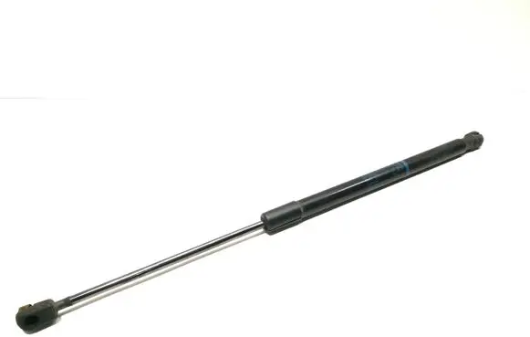 Tailgate strut
