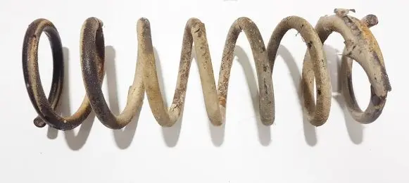 Ford Focus C-MAX Rear coil spring