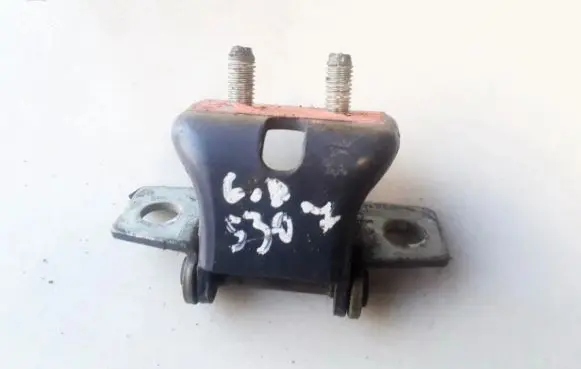 Chevrolet Orlando Rear door lower hinge