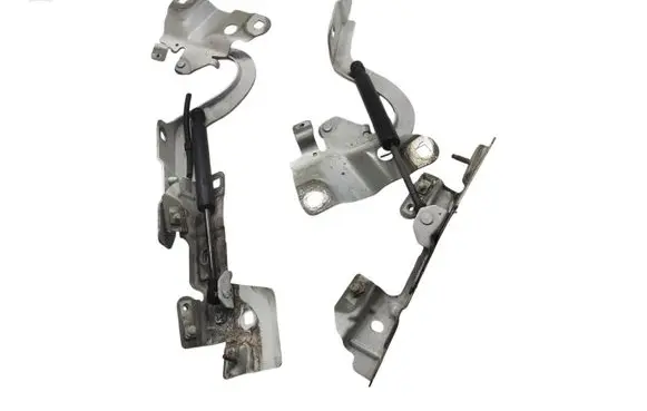 Renault Zoe Engine bonnet/hood hinges 654018609R 654009955R