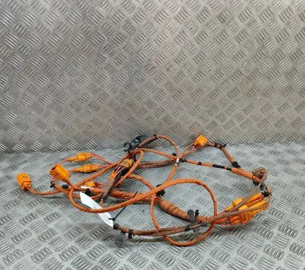 Volkswagen ID.4 Other wiring loom 1EA971398AK