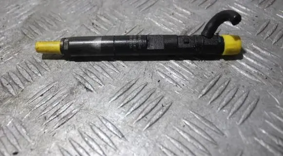 Renault Thalia I Fuel injector EJBR021012