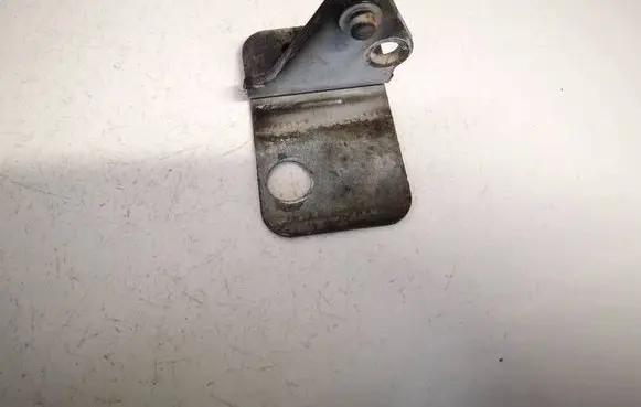 Volkswagen Polo IV 9N3 Rear door lower hinge