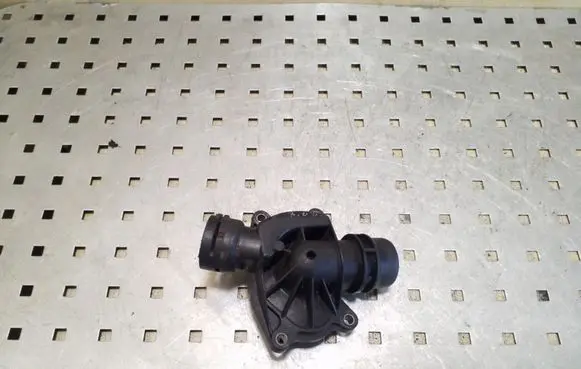 Thermostat/thermostat housing