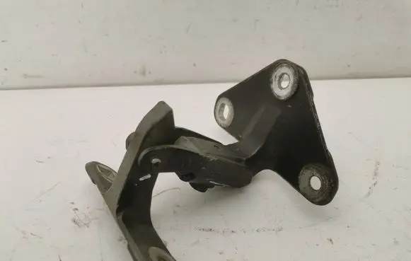 BMW X5 E70 Tailgate/trunk/boot hinge 141879 14187910