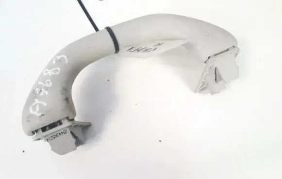 Volkswagen PASSAT B6 Front interior roof grab handle