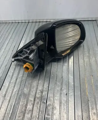 BMW X5 F15 Front door electric wing mirror 698022