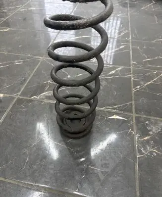 Seat Altea Rear coil spring 