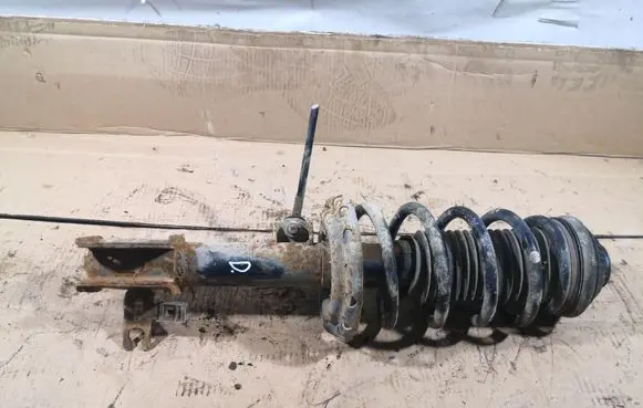 Opel Zafira B Front shock absorber with coil spring 22214013 24466547