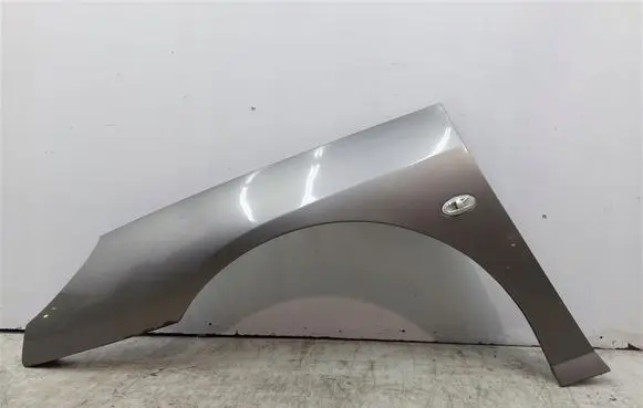 Peugeot 407 Fender 