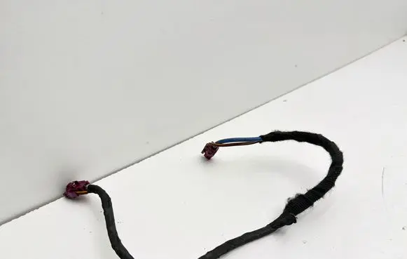 Other wiring loom