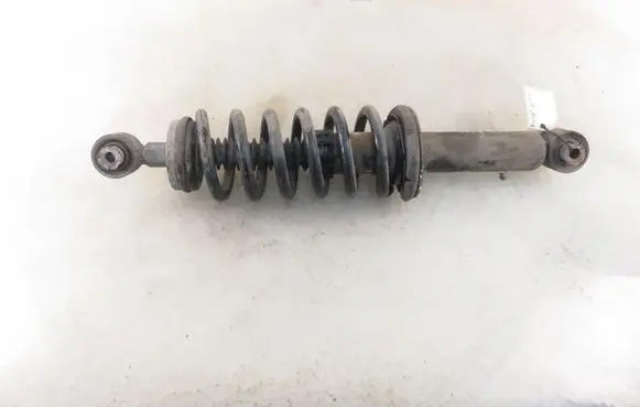 Peugeot 407 Rear shock absorber with coil spring