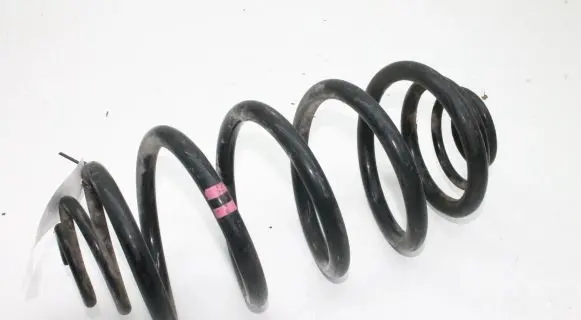 Renault Kangoo III Rear coil spring