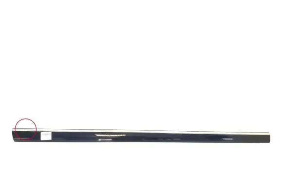 Mercedes-Benz CL C215 Front door trim (molding) A2156900862