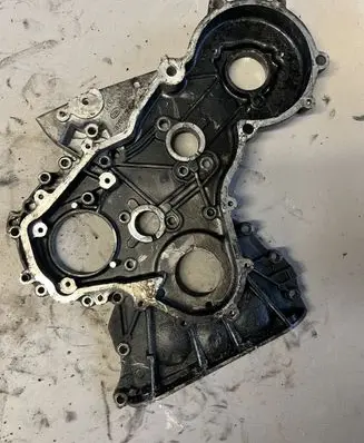 Renault Vel Satis Timing chain cover 8200018628 820001862
