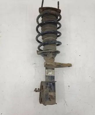 Land Rover Freelander Front shock absorber with coil spring RND000060 22190124