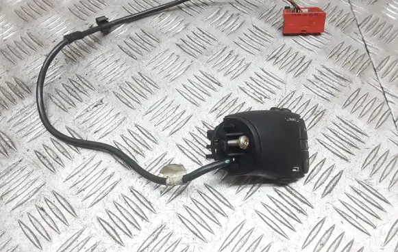 Renault Scenic RX Multifunctional control switch/knob 