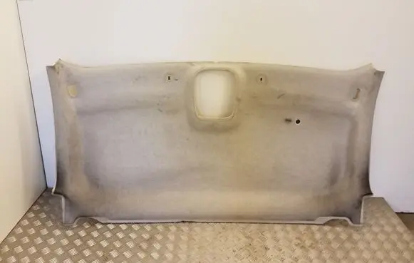 Renault Trafic III (X82) Headlining 739013063R