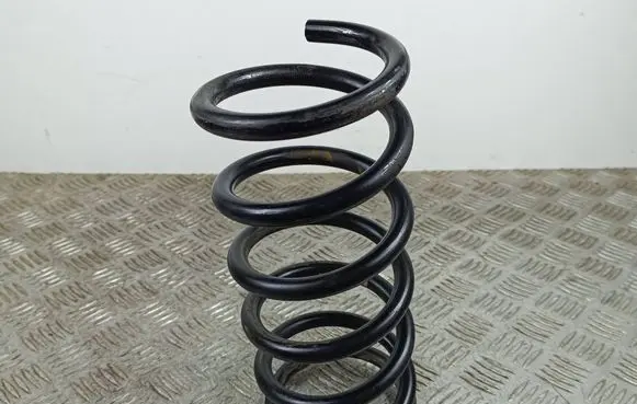 Rear coil spring